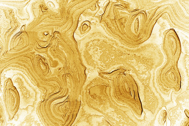 Similar image 1196249