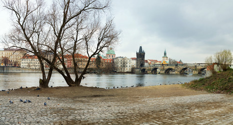 Similar image 1196255