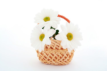 Similar image 1196269