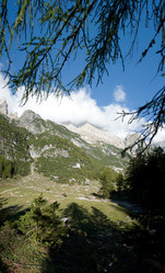 Similar image 1196297