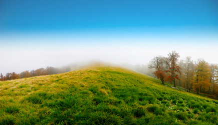 Similar image 1196310