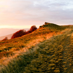 Similar image 1196313