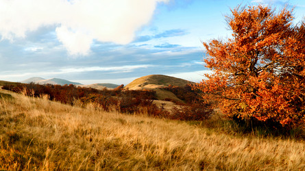 Similar image 1196314