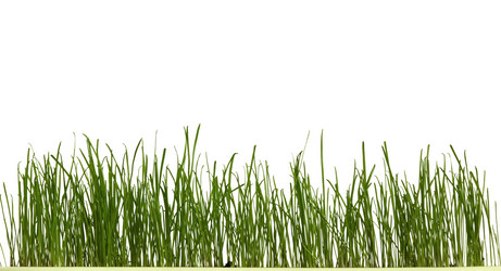 Similar image 1196328