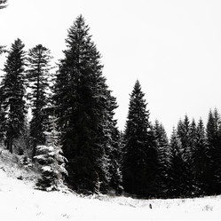 Similar image 1196334