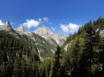 Similar image 1196335