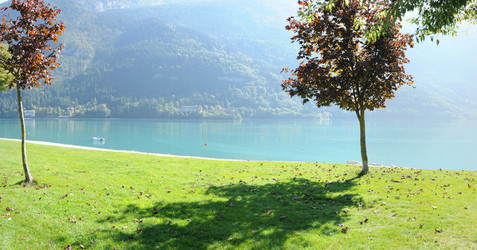 Similar image 1196353