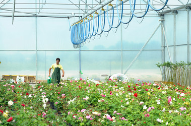 Similar image 1196416