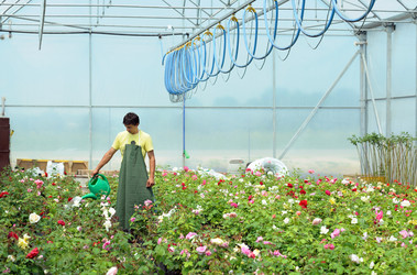 Similar image 1196418