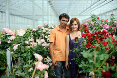 Similar image 1196478