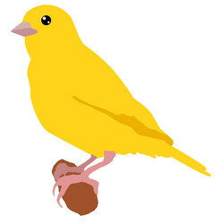 Similar image 1196531