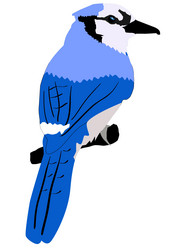 Similar image 1196536