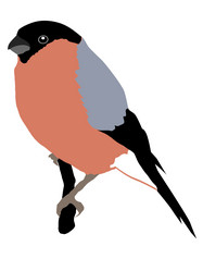 Similar image 1196539