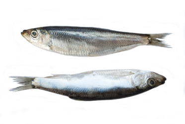 Similar image 1196576