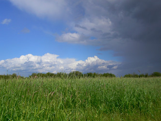 Similar image 1196585