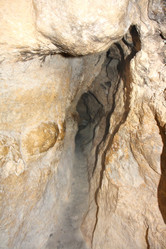 Similar image 1196652