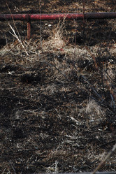 Similar image 1196670