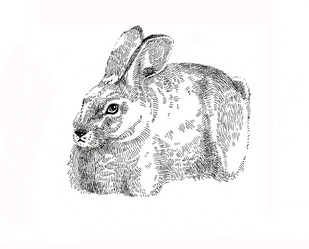 Similar image 1196711