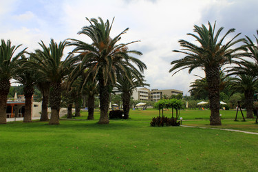 Similar image 1196726