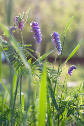 Similar image 1196727