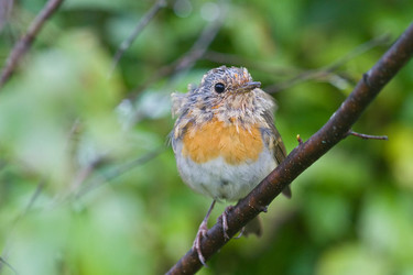 Similar image 1196729