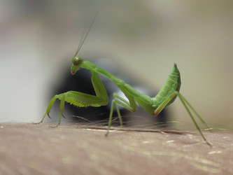 Similar image 1196741