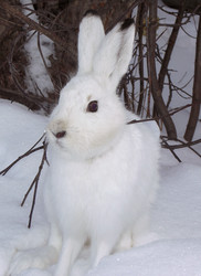 Similar image 1196744