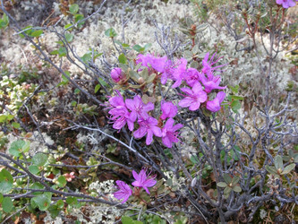 Similar image 1196746