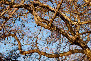 Similar image 1196748