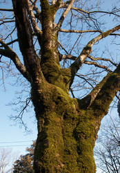 Similar image 1196749