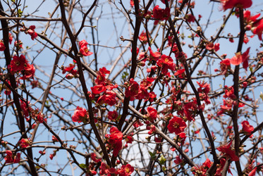 Similar image 1196750