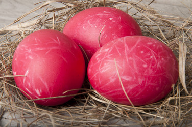 Similar image 1196843