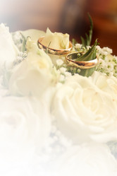 Similar image 1196920