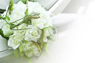 Similar image 1196921