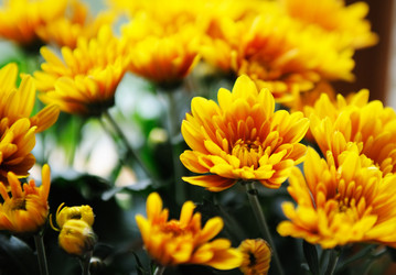 Similar image 1196925