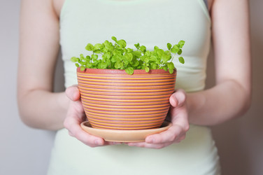 Similar image 1196932