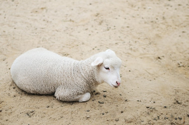 Similar image 1196943