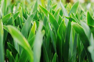 Similar image 1196946