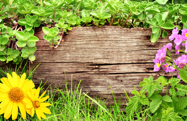 Similar image 1196956