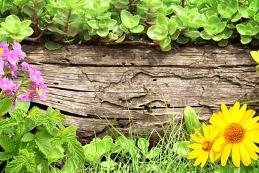 Similar image 1196957