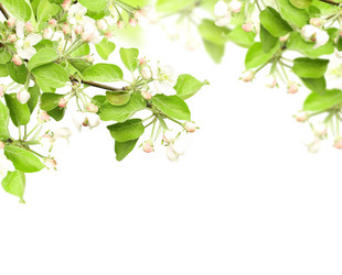 Similar image 1196972