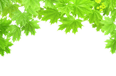 Similar image 1196975