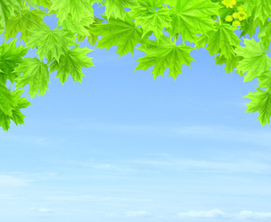 Similar image 1196992