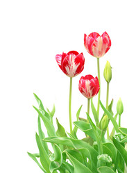 Similar image 1196993