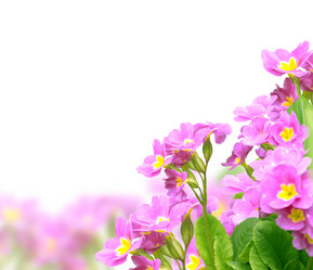 Similar image 1196996