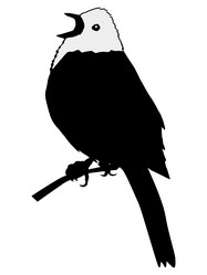 Similar image 1197032