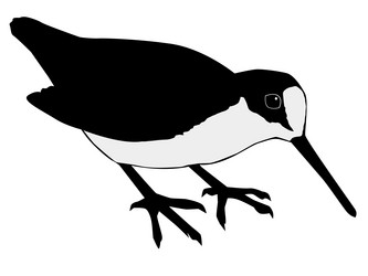 Similar image 1197033