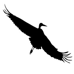 Similar image 1197041