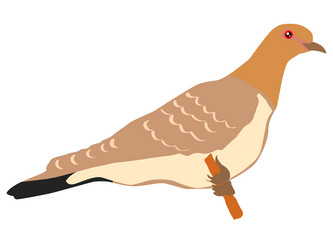 Similar image 1197062