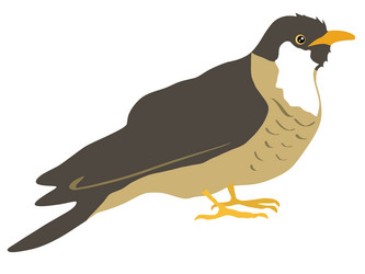 Similar image 1197063